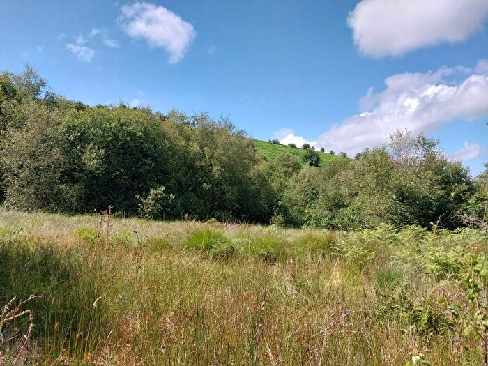 Land For Sale In Sticklepath, Devon, EX20