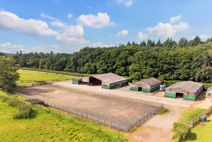 Bungalow For Sale In Moyles Court, Rockford, Ringwood, Hampshire, BH24