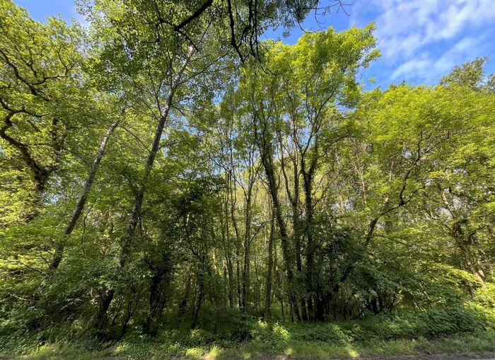 Land For Sale In Longburton, Sherborne, Dorset, DT9