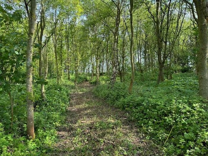 Farm Land For Sale In Land, Crowden Lane, Salle, Reepham, Norfolk, NR10