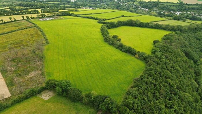 Farm Land For Sale In Cenarth, Newcastle Emlyn, SA38