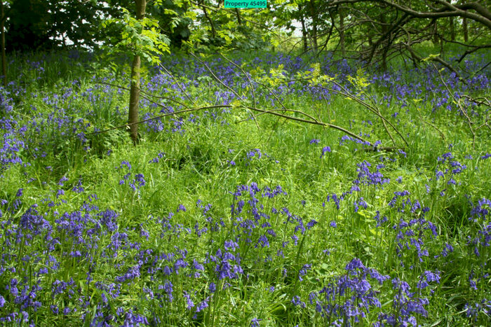 2 Bedroom Detached Bungalow To Rent In Craigs Chalet Park, Williamscraig, Linlithgow, EH49