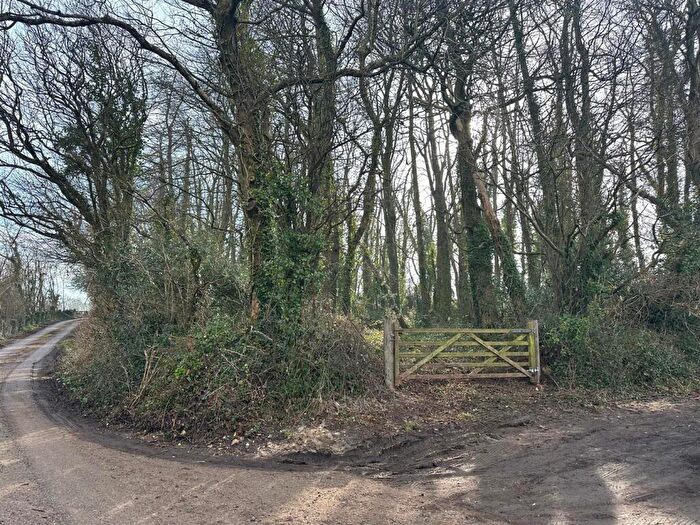 Land For Sale In Timber Hill, Lyme Regis, DT7