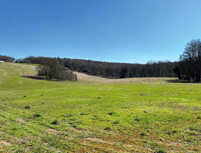 Land For Sale In Land At Westbury Park, West Meon, Petersfield, GU32