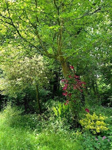 2 Bedroom Cottage For Sale In Mill Cottage, Wolfsdale, Haverfordwest, Pembrokeshire, SA62