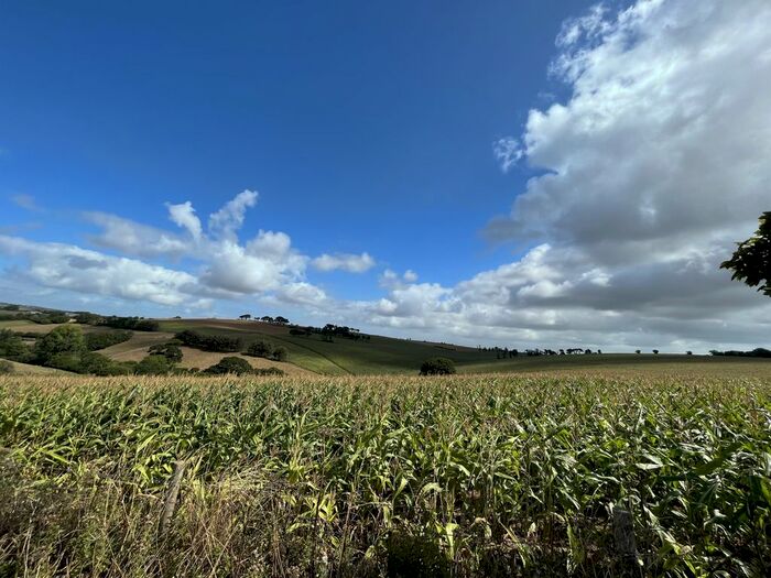 Land For Sale In East Allington, Totnes, TQ9
