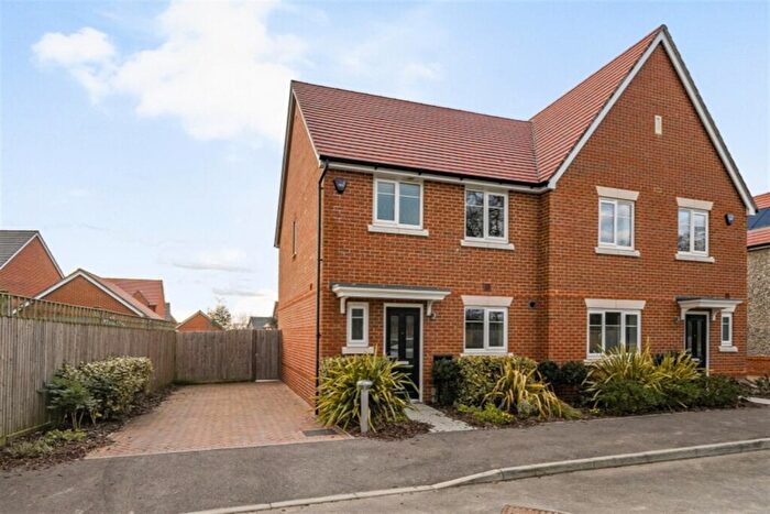 3 Bedroom Semi-Detached House To Rent In Small Meadow, West Broyle, Chichester, PO19