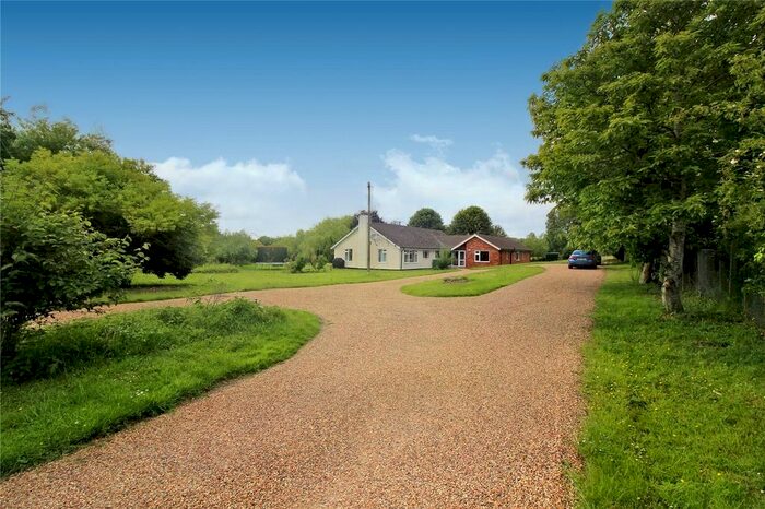 4 Bedroom Bungalow To Rent In Blackwater Lane, Great Witchingham, Norwich, Norfolk, NR9