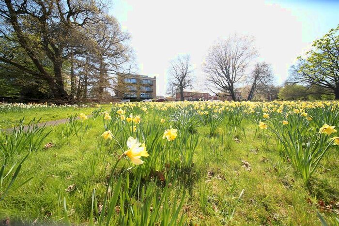 2 Bedroom Flat To Rent In Daffodil Crescent, Barnet, EN4