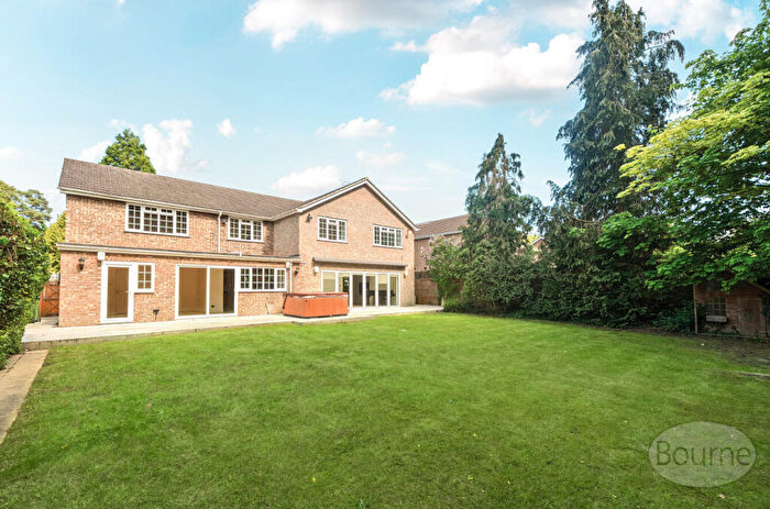 6 Bedroom Detached House To Rent In Pine Walk, Cobham, Surrey, KT11