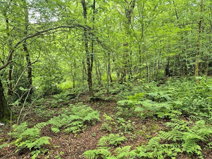 Land For Sale In Black Bank Wood, Coley Hole, Ipstones, ST10