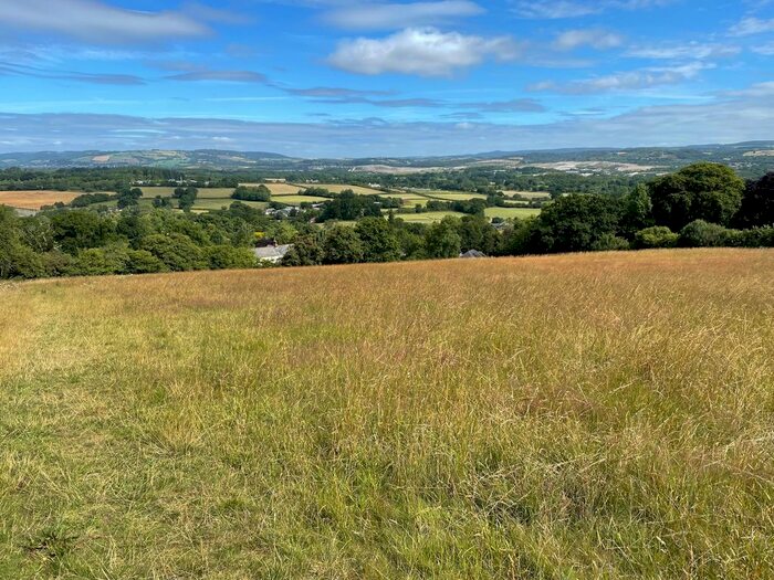 Land For Sale In Whitehill Road, Highweek, TQ12