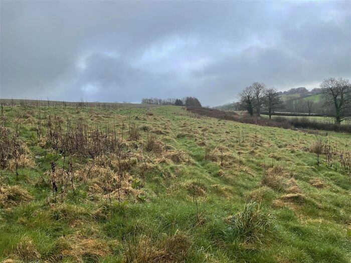 Land For Sale In Bishops Nympton, South Molton, EX36
