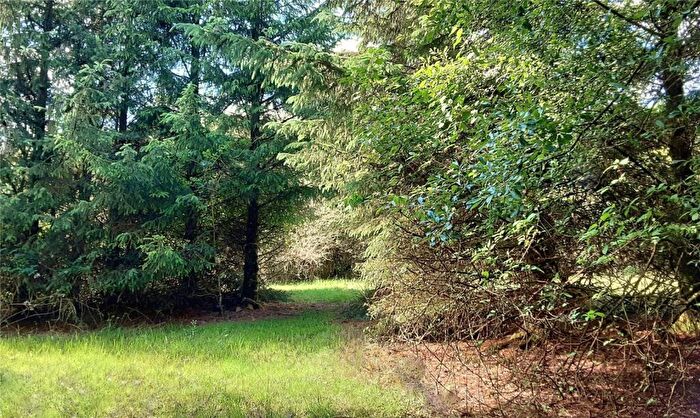 Land For Sale In West Chilla, Beaworthy, EX21