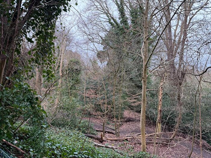 Studio To Rent In Spinney Gardens, London, SE19