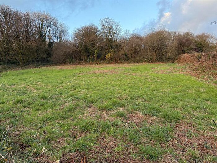 Farm Land For Sale In At New Holmus, Little Newcastle, SA62