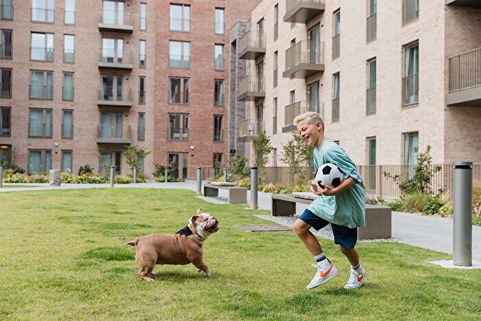 1 Bedroom Flat To Rent In West Approach Road, Edinburgh, EH3