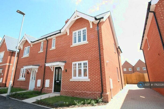 3 Bedroom Semi-Detached House To Rent In Sapphire Crescent, Colchester, CO4