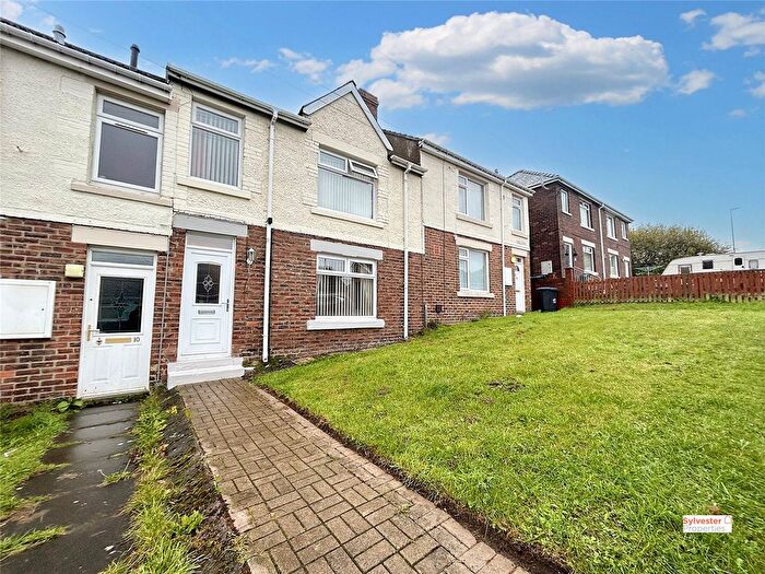 3 Bedroom Terraced House For Sale In Ash Terrace, Craghead, Stanley, County Durham, DH9