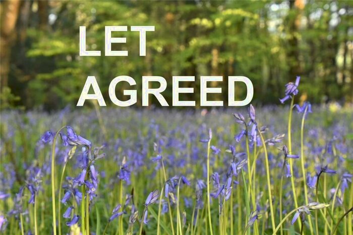 3 Bedroom House To Rent In Foster Drive, Bodmin, Cornwall, PL31