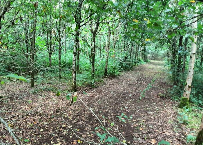 Property For Sale In West Chilla, Beaworthy, EX21