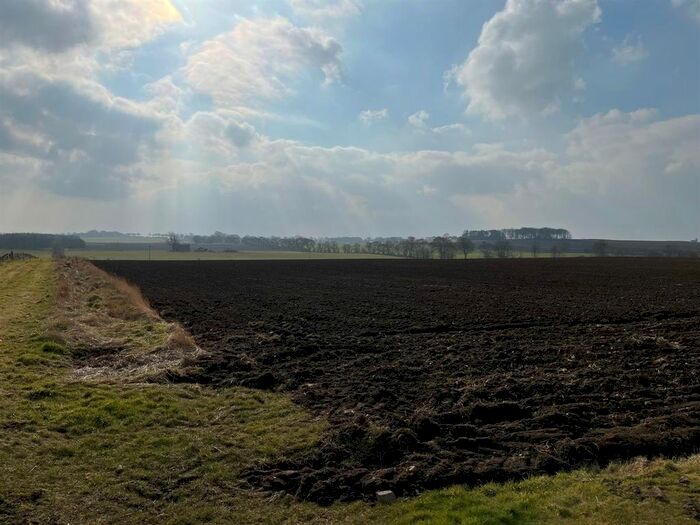 Land For Sale In Land At Netherbrae, Fetterangus, Mintlaw, Aberdeenshire, AB42