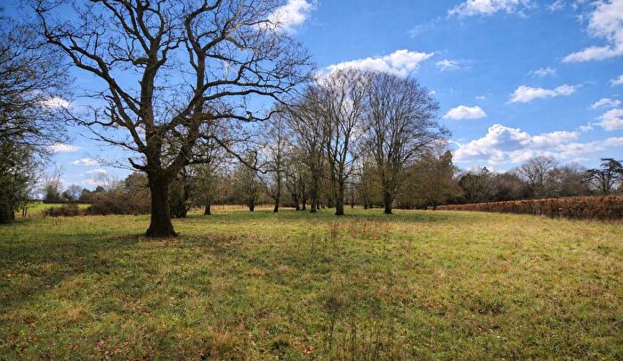 Land For Sale In The Street, Assington, Sudbury, Suffolk, CO10