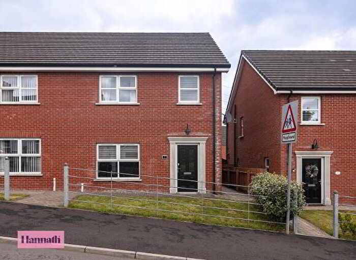 3 Bedroom Semi-Detached House For Sale In Rose Walk, Craigavon, BT62