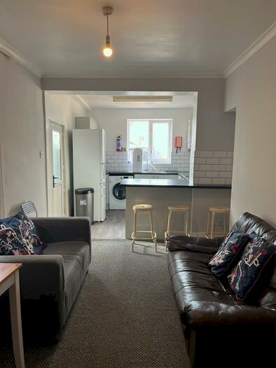 5 Bedroom House To Rent In Park Place, Brynmill, SA2