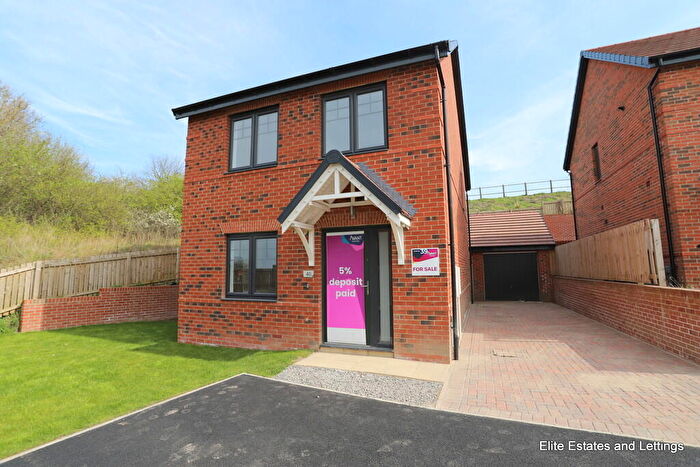 3 Bedroom Detached House For Sale In Allenson View, West Rainton, DH4