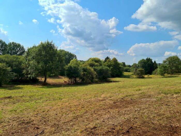 Land For Sale In Hennerton Backwater, Close To Henley And Wargrave, RG10