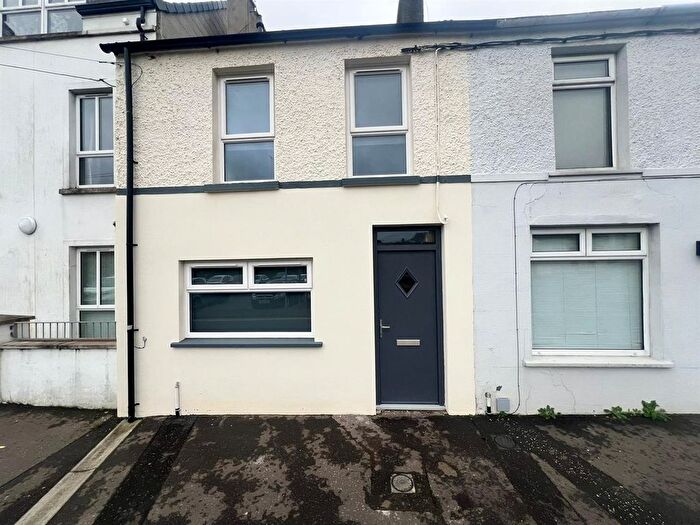 3 Bedroom Terraced House To Rent In Antrim Road, Ballynahinch, BT24