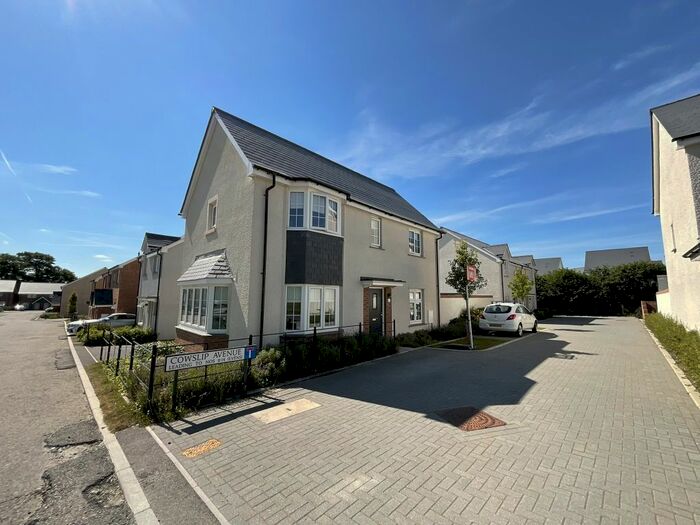 3 Bedroom Property To Rent In Cowslip Avenue, Tavistock, Devon, PL19