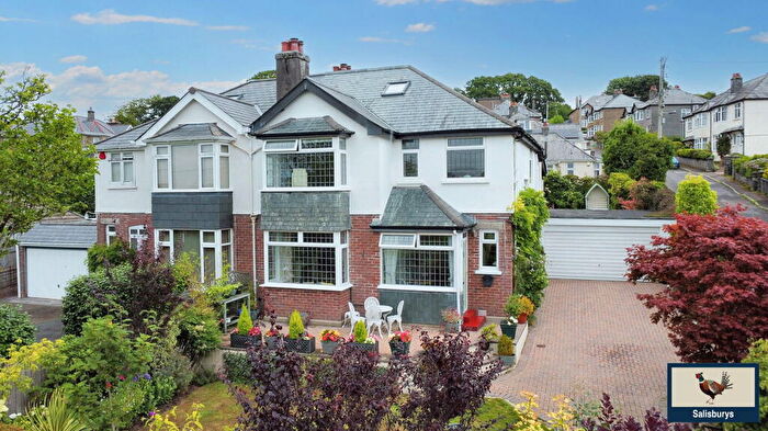 4 Bedroom Semi-Detached House For Sale In Chollacott Close, Tavistock, PL19