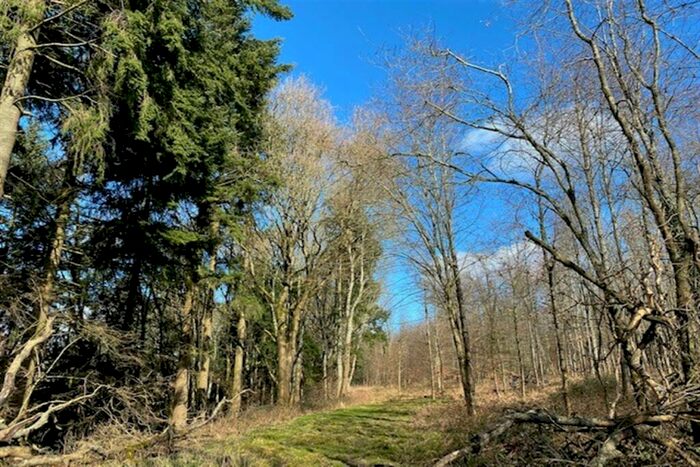 Land For Sale In Land At Elsted, Midhurst, GU29