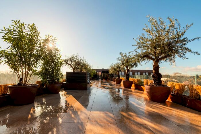 Studio To Rent In Brondesbury Park, London, NW6