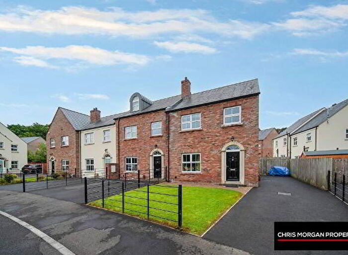 3 Bedroom Semi-Detached House For Sale In Castle Glen Ponds, Dungannon, BT71