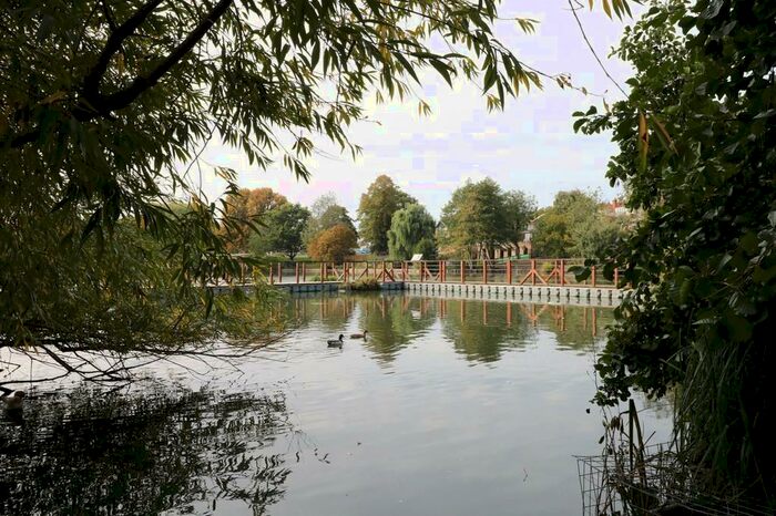 4 Bedroom Town House To Rent In Mallard Court, Diss, IP22