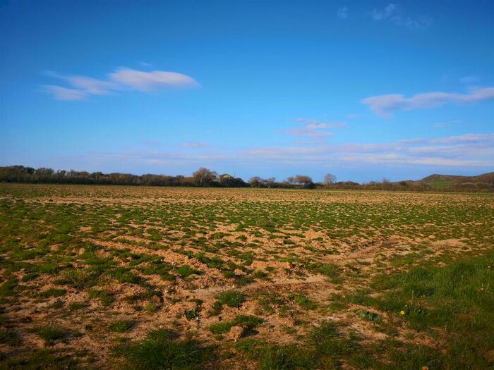 Farm Land For Sale In Whitwell, Isle Of Wight, PO38