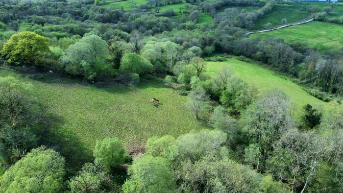 Farm Land For Sale In Part Of Bryniau Uchaf, Rhydcymerau, Llandeilo, SA19