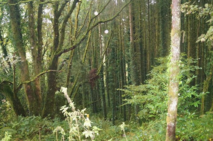 Land For Sale In Rhoshill, Cardigan, SA43