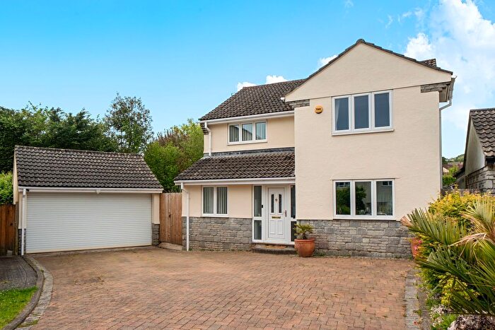 4 Bedroom Detached House For Sale In The Pippins, Ivybridge, PL21