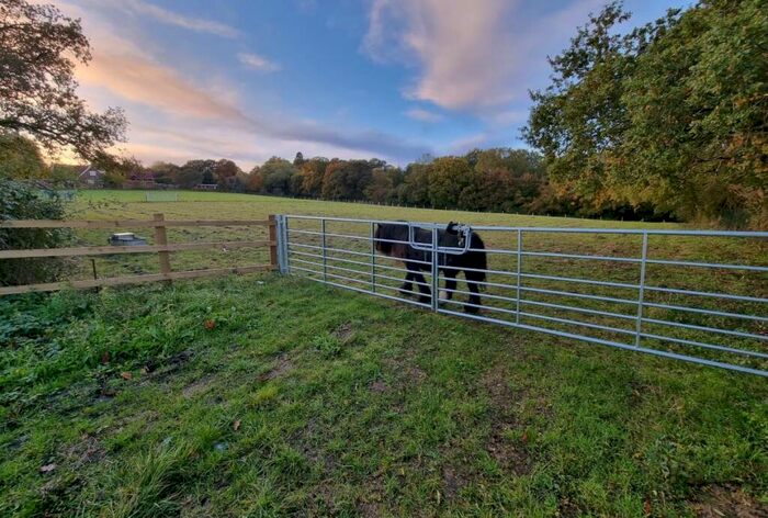 Land For Sale In Right Hand Plot Land, South Hanningfield Road, South Hanningfield, Essex, CM3