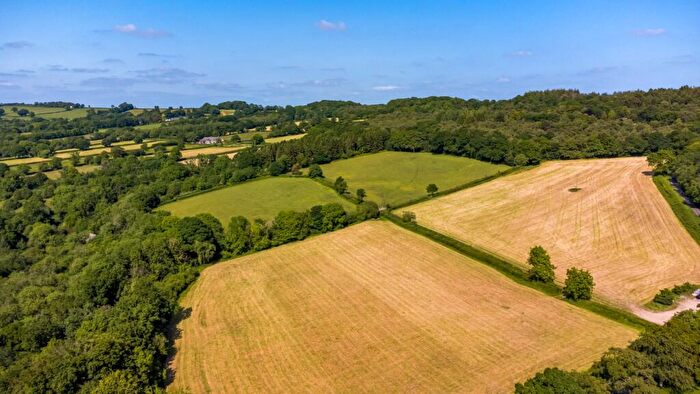 Land For Sale In Cotleigh, Honiton, Devon, EX14