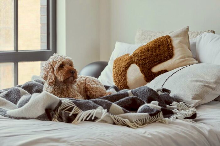 1 Bedroom Apartment To Rent In Inward Shed Pitsford Street, Birmingham, B18