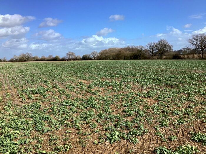Land For Sale In Land At Braes Farm, Assington, Sudbury, Suffolk, CO10