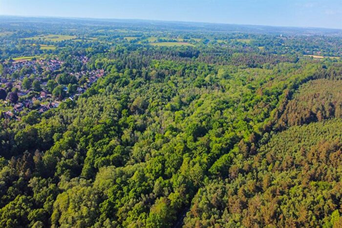 Land For Sale In East Woodhay Copse, Woolton Hill, Newbury, RG20