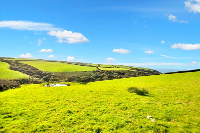 Land For Sale In Dizzard, Cornwall, EX23