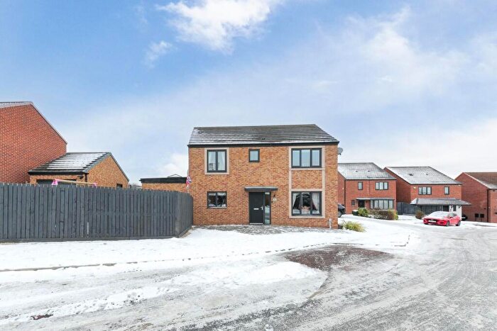 3 Bedroom Detached House For Sale In The Meadows, Wallsend, NE28