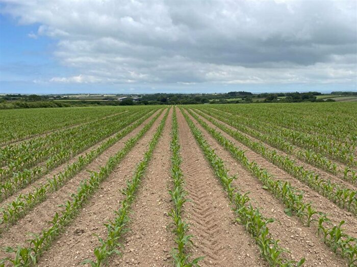 Land For Sale In High Bickington, Umberleigh, EX37